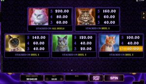 pretty kitty slot screenshot 4