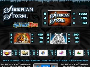 siberian storm slot screenshot 2