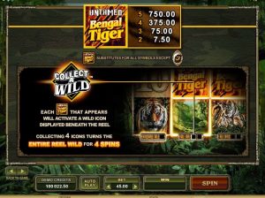 untamed bengal tiger slot screenshot 2