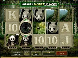 untamed giant panda slot screenshot 1